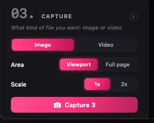 The Capture panel: Image or Video, Area, Scale, and the Capture button