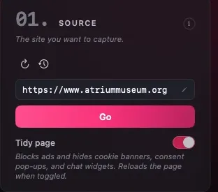 The Source panel: URL field, Go, and the Tidy page toggle switched on